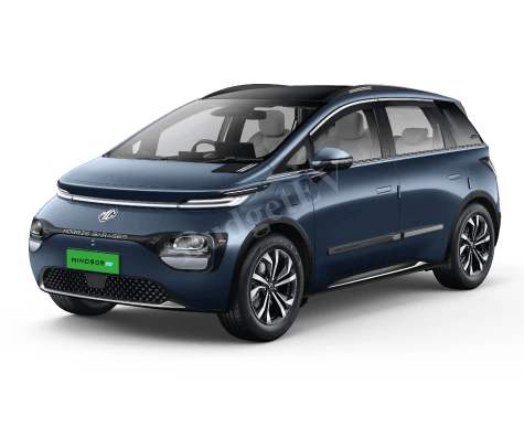 Windsor EV